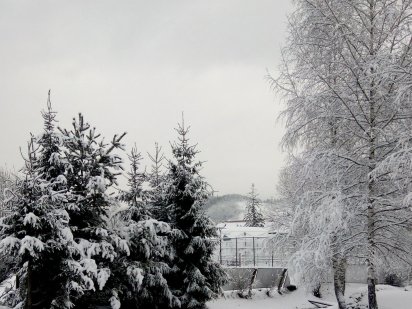 Відпочинок в Карпатах( Славське) Славское