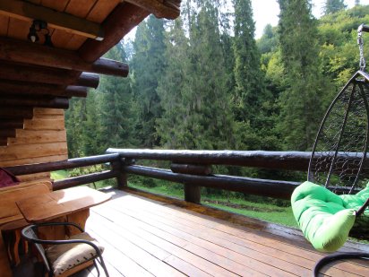 Оренда будинка біля лісу. Славское