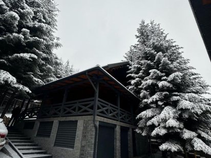 Здам три будиночки в с.Мигово Мигово