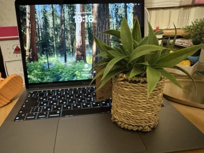 Вільна‼️‼️‼️Люкс на з.в., центр‼️‼️‼️