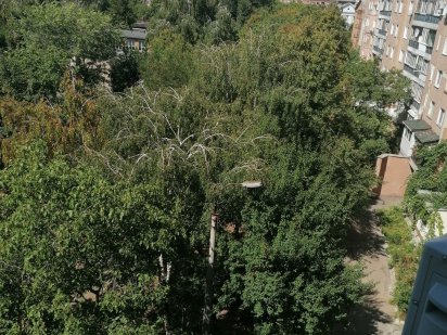 Центр, біля Будинку Торгівлі, 1к.,подобово, почасово Черкаси