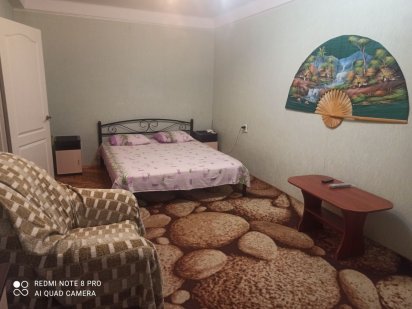 Квартира погодинно, подобово(бабурка)