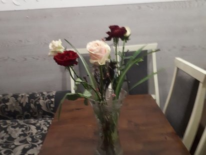 Квартира.2х кімнатна  по вул Князя Романа. Центр міста Львів