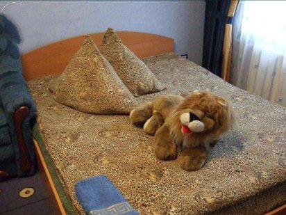 Здається 1к м.Васильківська, інститут Раку 5хвилин ходьби Київ