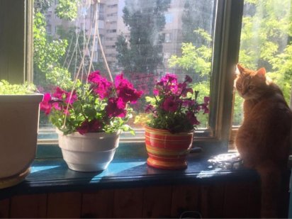 Сдам квартиру в Одессе Одеса