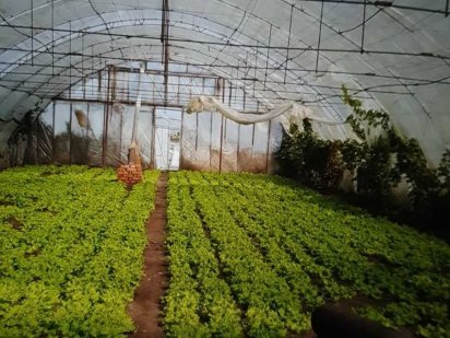 От хозяина. Без комиссии.  Продам  рабочее тепличное хозяйство. Білгород-Дністровський