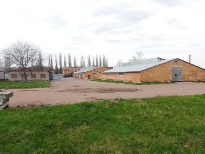 Промислово-складські приміщеня 2948 м2 та ділянка 1,2 га, м. Лубни Лубни