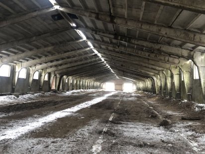 Клюшечник, зерносклад, ангар. Ромни