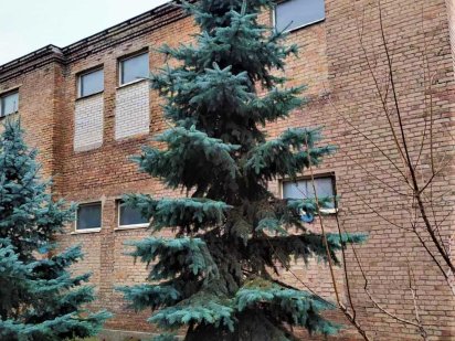 Будівля  окремо розташована 700  м2. Ділянка  0.64Га.