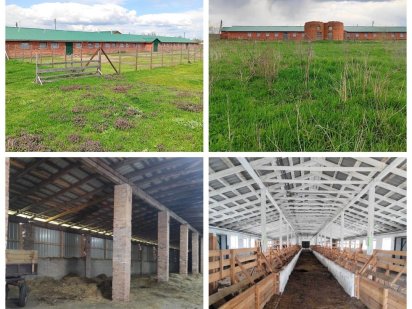 Продаж ферми. Під виробництво/ ферму/ пилораму. 7тис м2., 12га. 128кВт Житомир