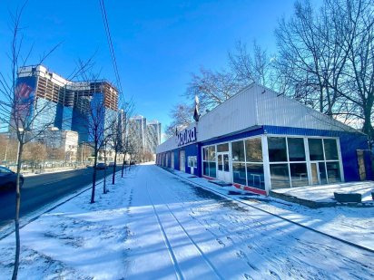 Без% Фото реальні 297м2 9сот окреме нежитл.фасад вул.Борщагівська 95-Б Киев