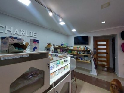 Продаж приміщення вул. Мазепи (Колоскова) Львів