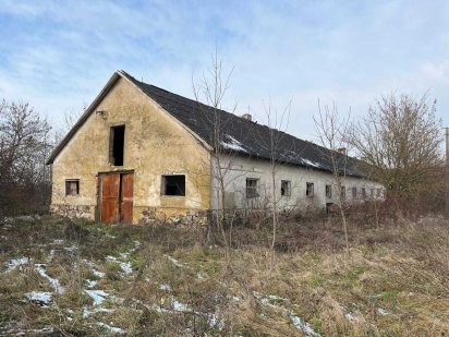 Ферма 25 Га Закарпаття Дыйда