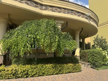 Продаж окремого приміщення або готовий бізнес ЖК СОФІЯ Софіївська Борщагівка