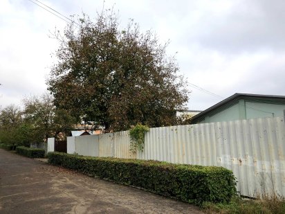 Продаж/орендна цілісного майнового комплексу м. Кіцмань Кицмань