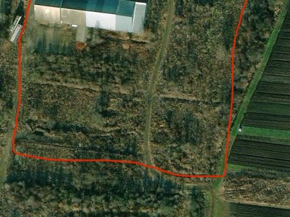 Оренда приміщень с.Новиця Івано-франківська область Калуш