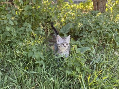Сдам большое  помещение в Дружковке Краматорск