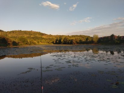 Фермерське господарство Мукачево.Оренда Мукачево