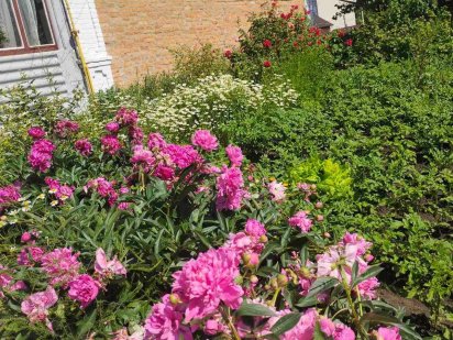 Оренда будинку в центрі міста Хмільник Хмільник