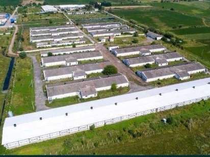 Агрокомплекс- птахофабрика 350т/г, свиноферма 10т/г, комбікормовий з-д Івано-Франківськ