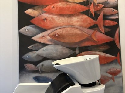 Примішення оренда Черновцы