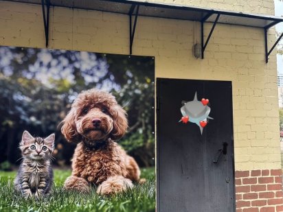 Сдается помещение 12 кв м Оболонь, Минская Київ