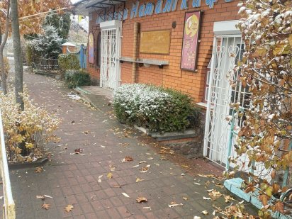 Здається площа в оренду Житомир