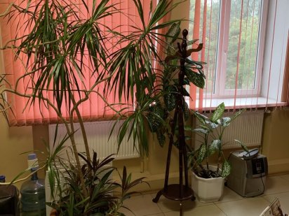 Здам в оренду офіс Михайлівський площа 1, м. Одеса, Одеса