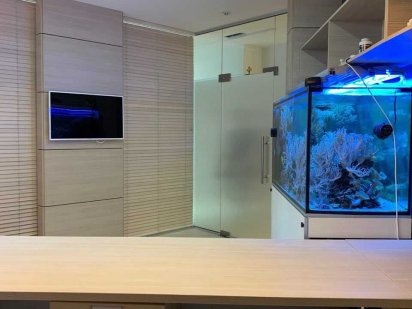 Современный офис пер Каркашадзе / Французский 180м Одеса