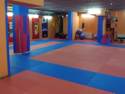 Аренда спортзала Поселок Котовского Ліски