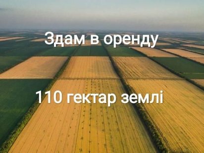 Сдам в оренду 110 гектар с/г земель Беляевка