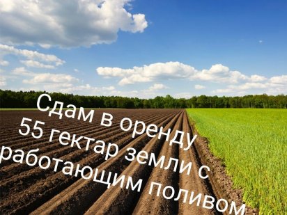 Здам в оренду 55гектар землі на працюючому поливі!

Розташування:Біляї Беляевка