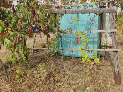 Продам дачу фдб . Александрия