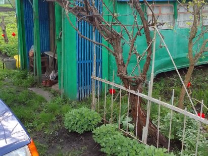 Дачна ділянка. Приватизована . Город.