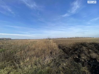 Продаж земельна ділянка. Бережани