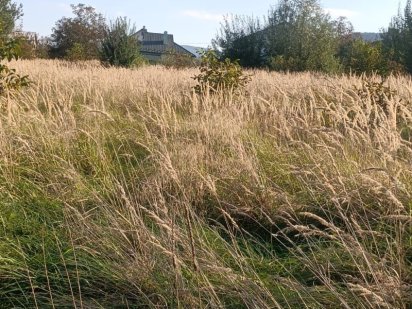 Земельна ділянка під забудову м.Борислав Борислав