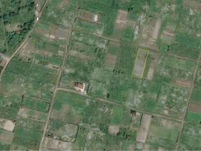 Продаж ділянки під садівництво в с/т «Надія» Васильков