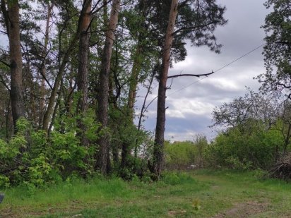 Продаж ділянки 30соток. Березанщина