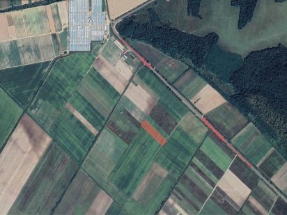 Продам земельну ділянку 1 га Виноградов