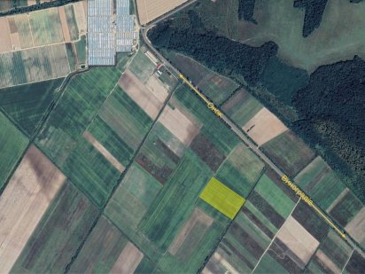 Земельна діляка 3 га. Виноградов