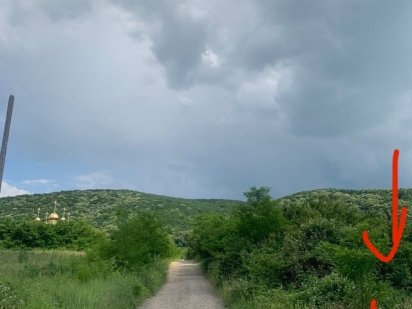 Продам земельну ділянку Виноградов