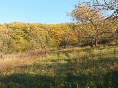 Земельна ділянка Виноградов