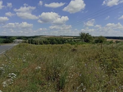 Земельна ділянка 3,77 га Васильківський р-н Васильків