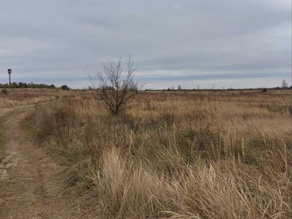 Продаж земельної ділянки, 1,29 ГА, Боярка, р-н Сузір'я