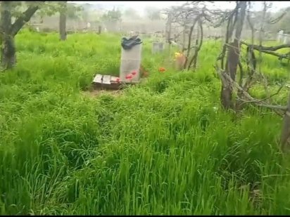 Продам дачный участок Вознесенськ