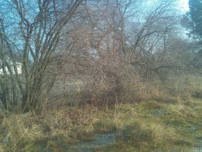 Участок в Жукине Вишгород