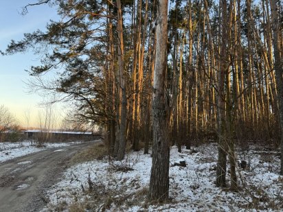 Земельна ділянка. 10соток. м.Гостомель. Гостомель