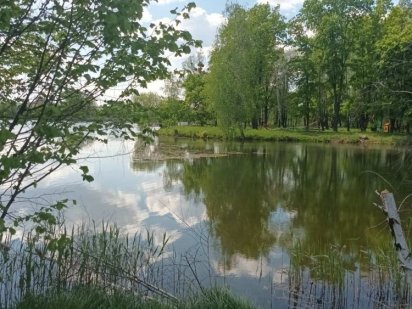 Без% Продаж ділянки , Гостомель, Київська область Гостомель