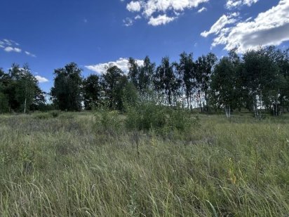 Земельна ділянка 21 сотка. Гостомель Гостомель