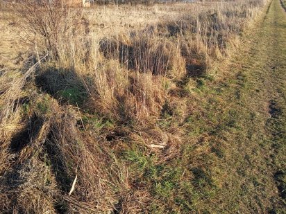 Земельні ділянка Дрогобич